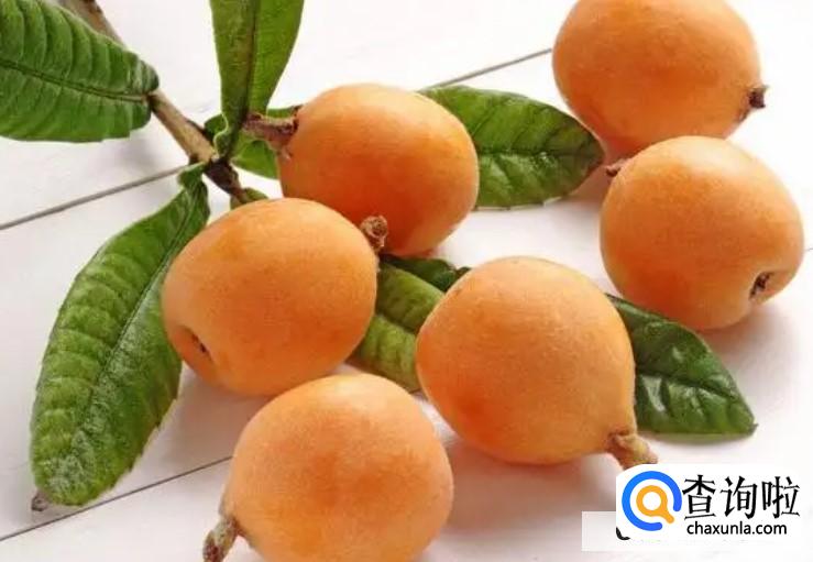 枇杷的食用禁忌