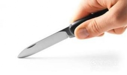 火龙果嫁接方法图解