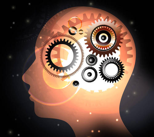 笨人怎么变聪明