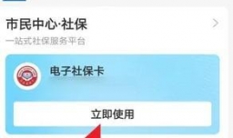 电子社保卡如何缴费