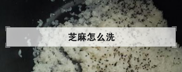 芝麻怎么洗