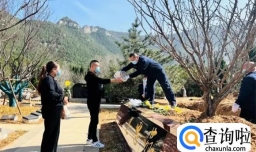 节约资源移风易俗 海葬树葬正被越来越多人接受更替？