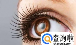 怎么增长睫毛？