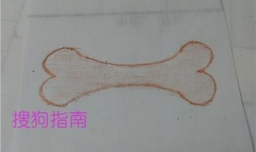 如何画骨头简笔画