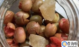 酿李子酒不放白酒可以吗