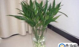 2018年春节大扫除四大禁忌有哪些