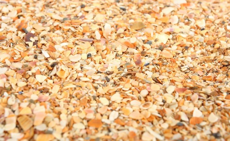 海沙淡化后可以用吗