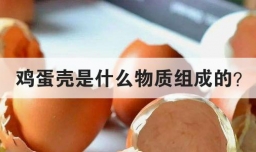 鸡蛋壳是什么物质组成的