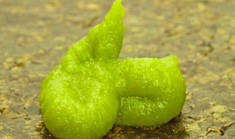 芥末是什么做的