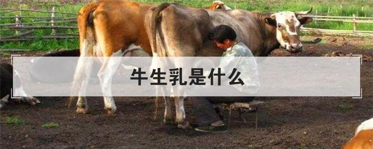 牛生乳是什么