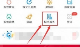 怎样通过支付宝查询车辆年审信息？