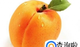 孕妇能吃杏吗 孕妇吃杏好吗