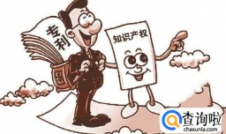 专利申请成功之后的专利年费怎么缴纳？