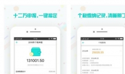 怎么查询广州个税？