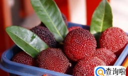 制作酸梅汁的方法？