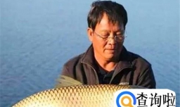 水库钓草鱼技巧