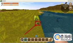 迷你世界怎么种植甘蔗？