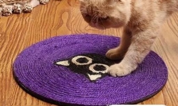 猫咪正确使用猫抓板的十个原则
