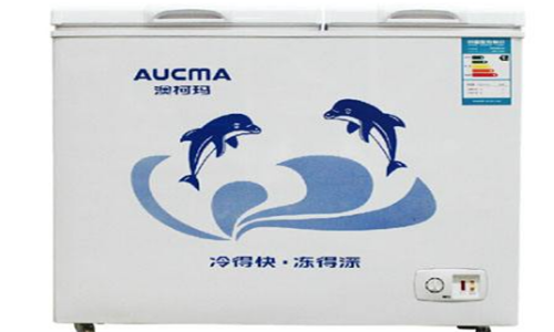 冰柜排行榜前十名家用