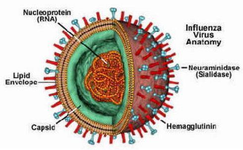 2020都发生了什么灾难