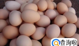 月子期间产妇吃什么健康又营养？