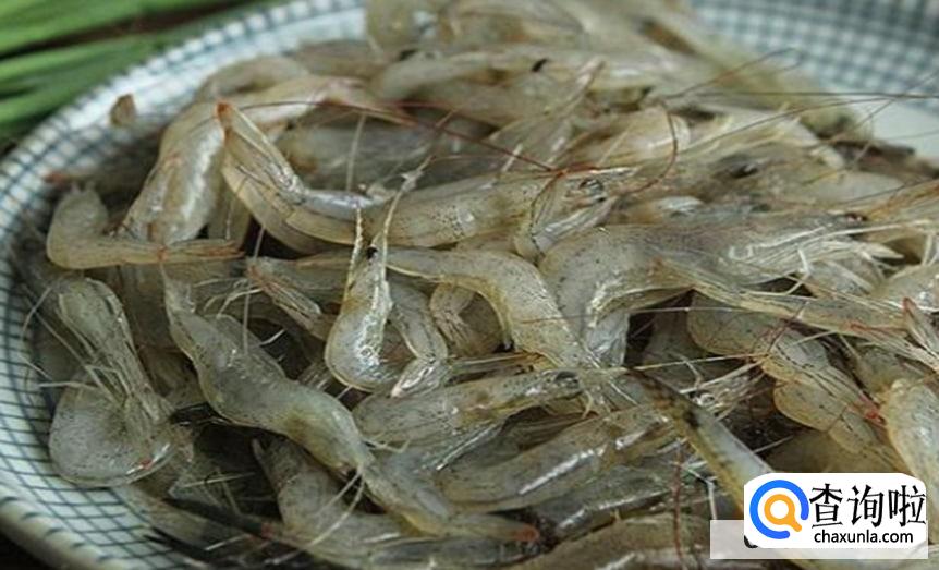 怎么挑选新鲜的虾