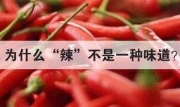 为什么辣不是一种味道