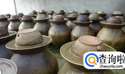 舌尖3中泡菜的腌制有哪些秘诀