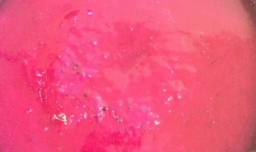 自制珍珠奶茶和珍珠做法