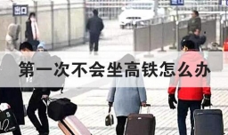 第一次不会坐高铁怎么办