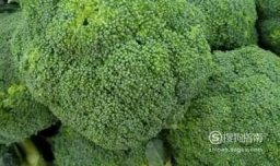 有机花和菜花的区别