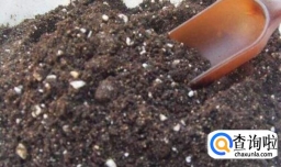 一帆风顺蔫了怎么补救