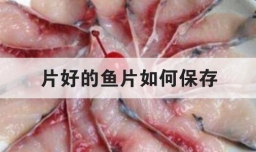 片好的鱼片如何保存