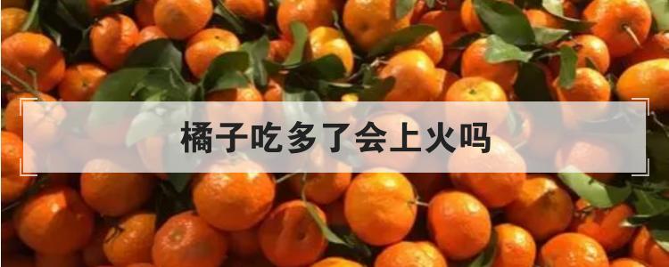 橘子吃多了会上火吗br