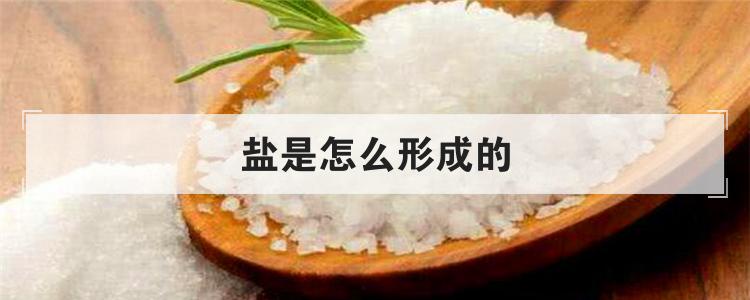 盐是怎么形成的