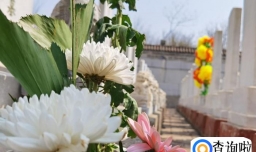 2023寒食节是几月初几