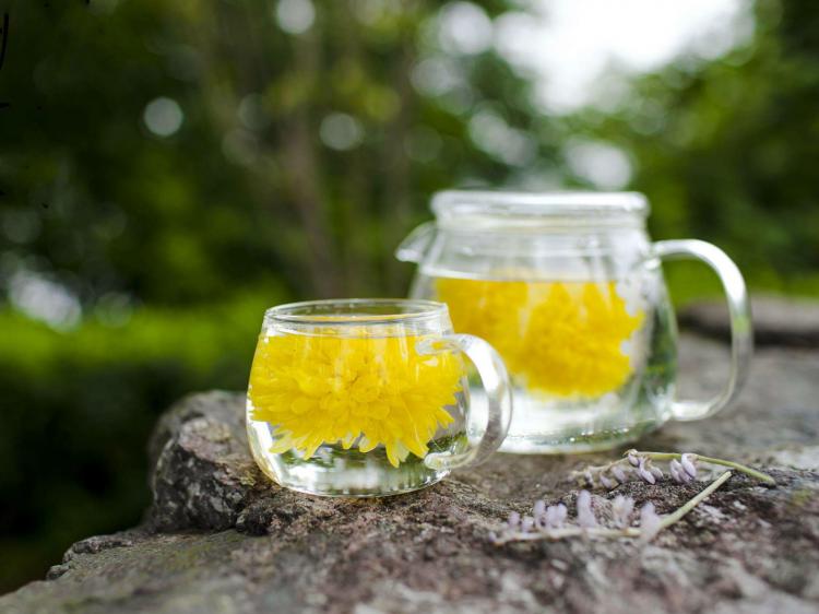 菊花茶的功效与作用