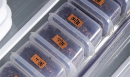 杂粮一次性蒸好放冰箱冷冻还是冷藏