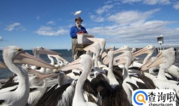 澳大利亚旅游多少钱