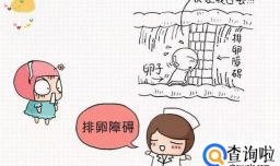 老婆没有生育能力怎么办？