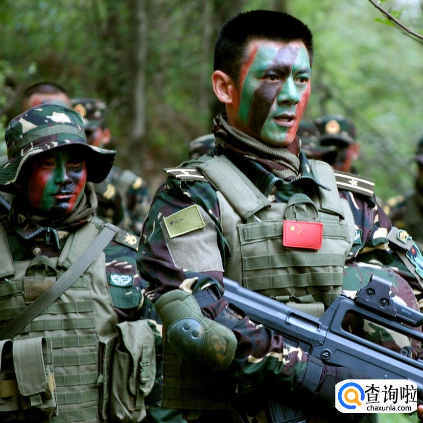 一个标准团有多少人