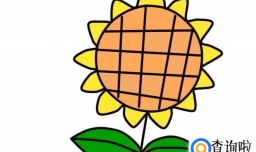 怎样教孩子画画-向日葵