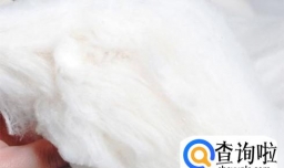 宝宝小包被怎么做