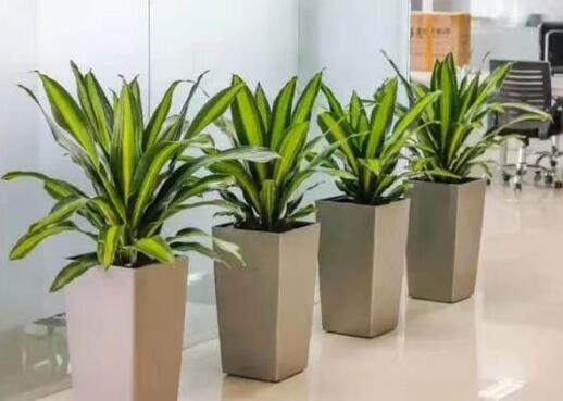 屋里灰尘大怎么清理