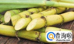 冬季补水的水果有哪些,冬季补水水果保湿补水