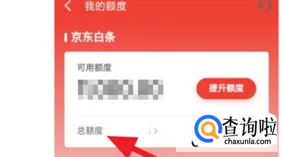 京东金融如何取消白条临时额度