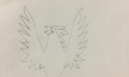 凤凰怎么画好看又简单