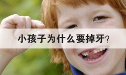 小孩子为什么要掉牙