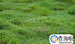 如何才能策划好一次春游活动？