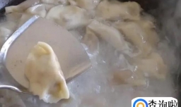 煮速冻饺子什么时候下锅